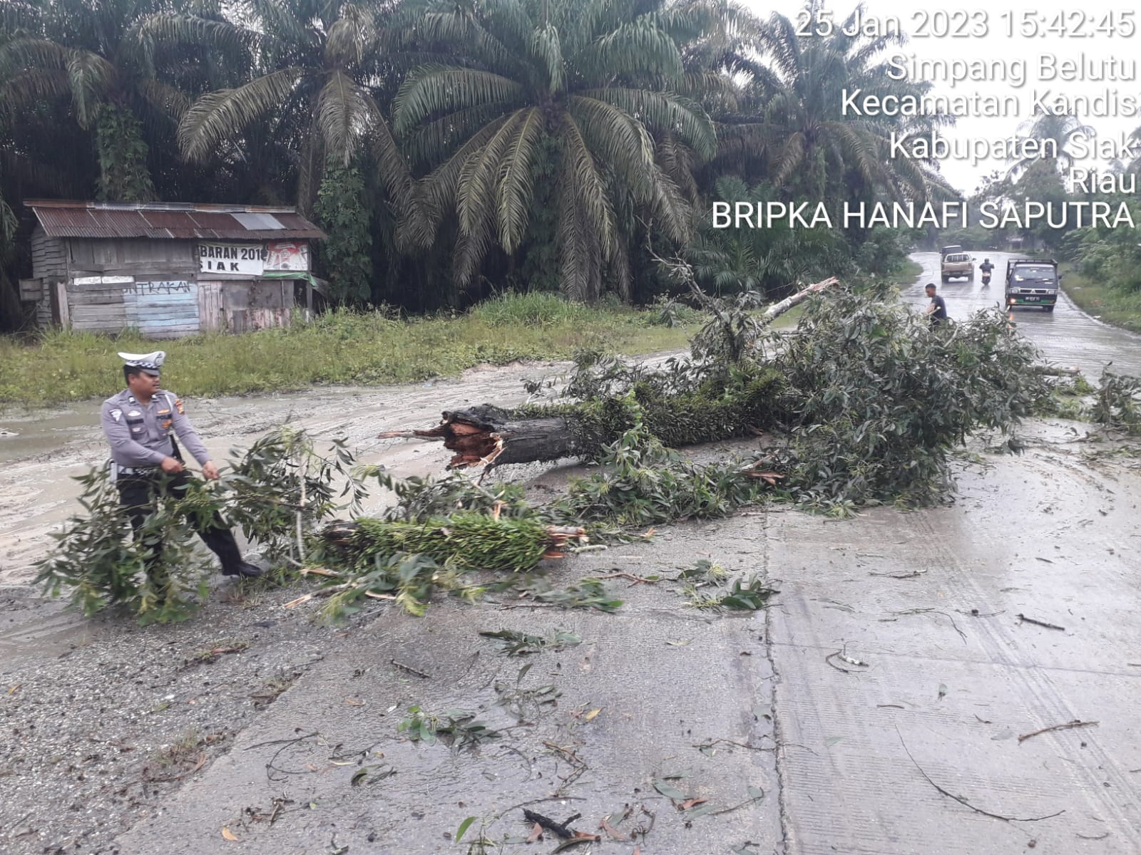 Personil Satlantas Polsek Kandis Bersama Warga, Bersihkan Tumpukan Pohon Tumbang Yang Berada di Jalan Lintas Km- 68 Kandis